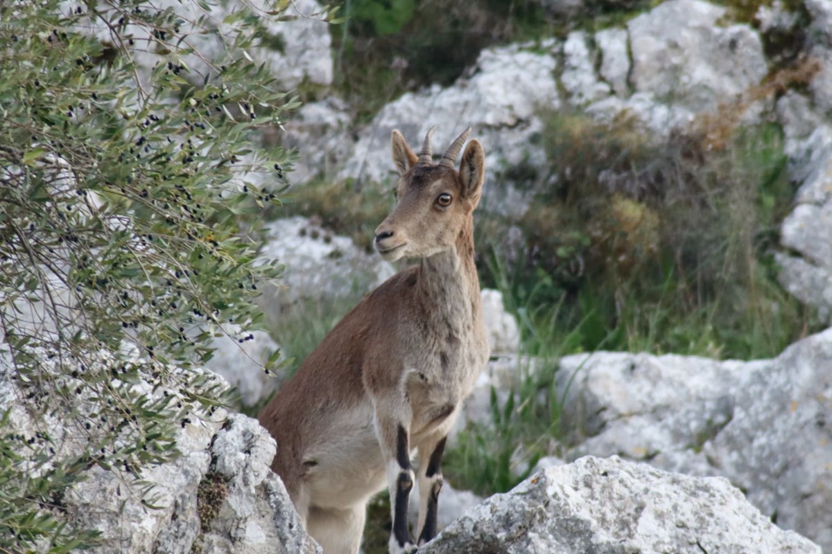 5d8e0119-d834-4f2f-829f-6dfb31ed877b